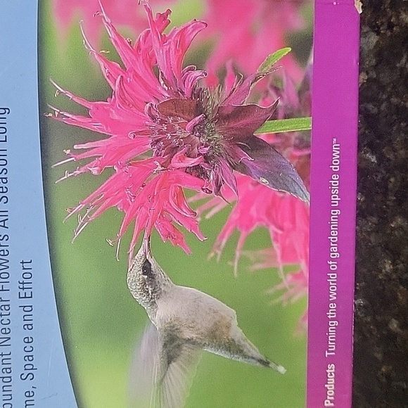 NIB Topsy Turvy Upside Down Hummingbird Hang-out Planter. - Picture 3 of 8